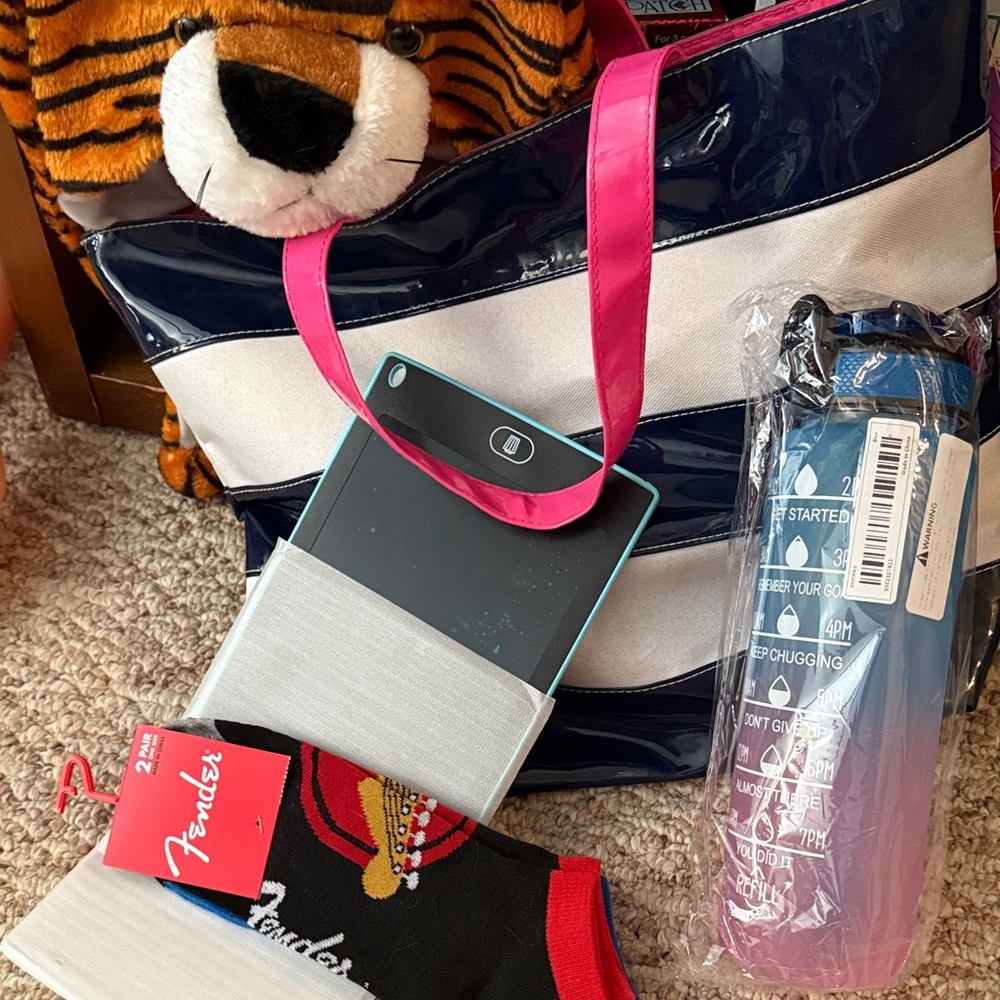 Stuff the Bag Tote, Tiger Head hat, LCD tablet, Socks and Water Bottle